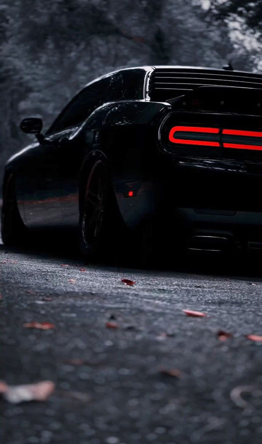 Night Fury Wallpaper